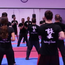 Ricominciamo… insieme! Wing Chun Milano 2020/21: A New Hope! Ricominciamo… insieme! Wing Chun Milano 2020/21: A New Hope!